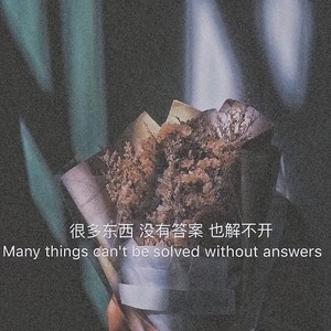 起风了 (辞梦 remix)