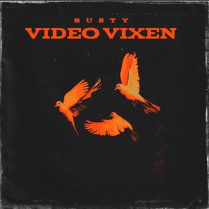 VIDEO VIXEN (Explicit)