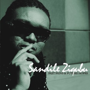 Sandile Ziqubu - Ideology
