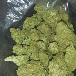 Let's Goo (Explicit)