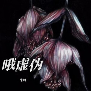 哦虚伪