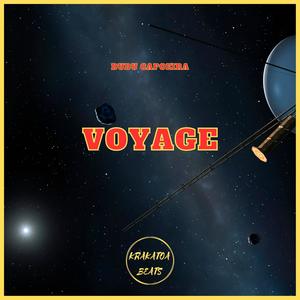 Voyage