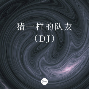 至少还有人在身边 (DJ版)