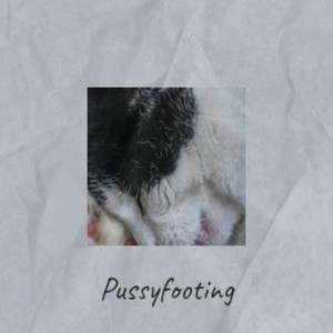 Pussyfooting