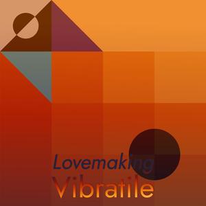 Lovemaking Vibratile