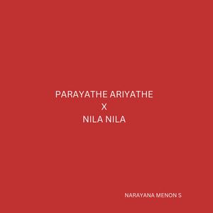 Parayathe ariyathe x Nila Nila