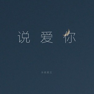 说爱你