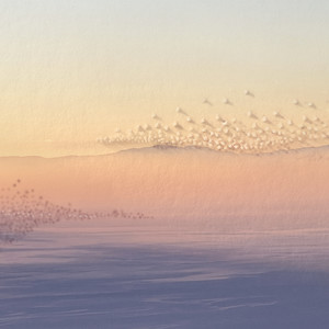 Lueurs de l'Aube