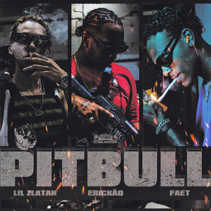 PITBULL (Explicit)