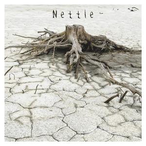 Nettle