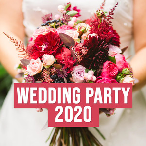 Wedding Party 2020 (Explicit)