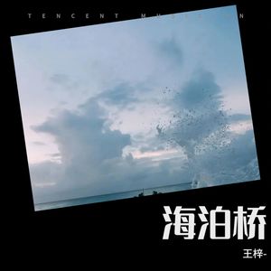 海泊桥伴奏 (伴奏)