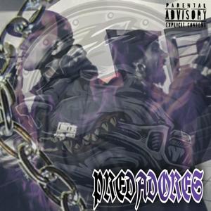 Predadores(feat. Sul) (Explicit)