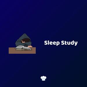 Sleep Study