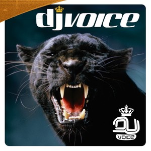 DJ Voice Vol 2 2006