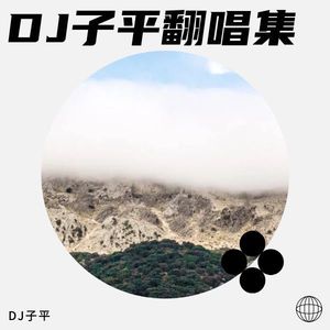 红尘有泪 (DJ子平 remix)封面