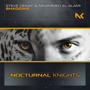 Shadows (Extended Mix)