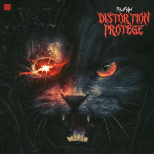 Distortion Protege