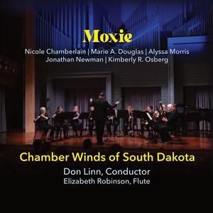 Concertino for Flute, Chamber Winds, and Piano - II. Chant du soir