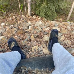 In The Trees (Explicit)