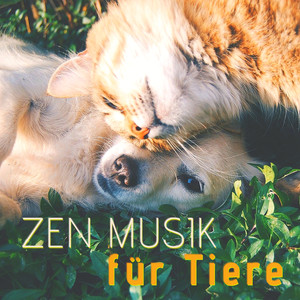 Akustische Gitarre