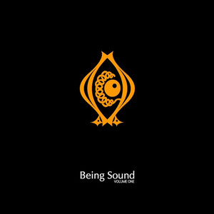 Being Sound, Vol. 1