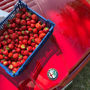 Ei Keegi Saa Röövida Me Suve