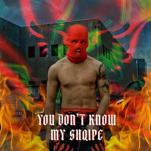 You Don't Know My Shqipe (Explicit)