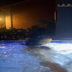 Mini Saia (feat. Mc maykin)