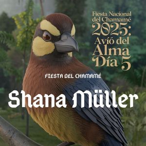 Chama do Chamamé (En Vivo)