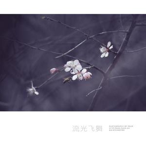 清歌流觞