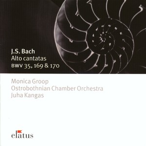 Bach, JS: Geist und Seele wird verwirret, BWV 35 - No. 6, Rezitativ. 