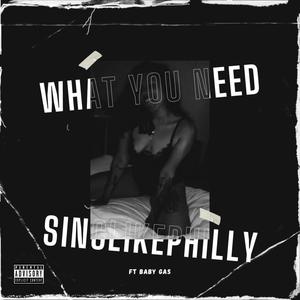 What You Need (Explicit)