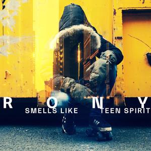 SMELLS LIKE TEEN SPIRIT (EDM cover)