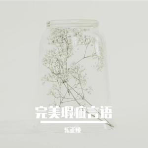 完美瑕疵言语