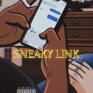 Sneaky Link (Explicit)