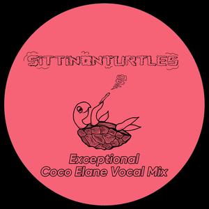 Exceptional (feat. Coco Elane) (Vocal Mix)