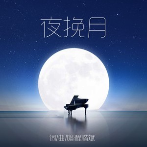 夜挽月