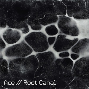 Root Canal