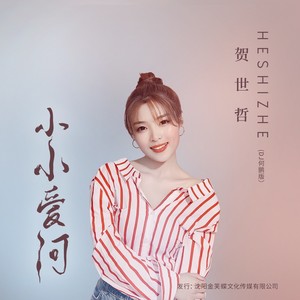 小小爱河(DJ何鹏版)