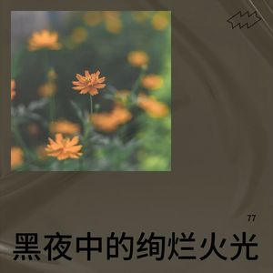 77 - 绚烂光影中的自我绽放