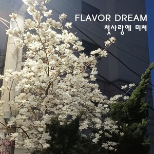 첫사랑에 미쳐 (疯狂的初恋)