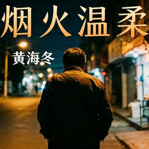 烟火温柔 (DJ 阿雪版)封面