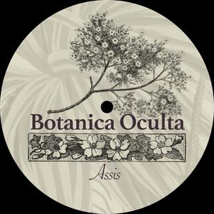 Botanica Oculta