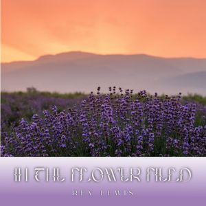 In the Flower Field