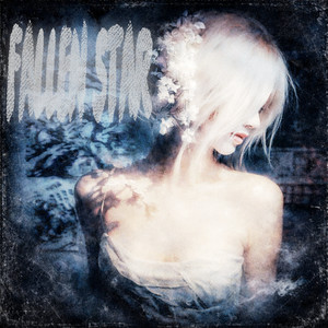 FALLEN STAR (Slowed)