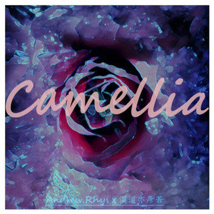 Camellia