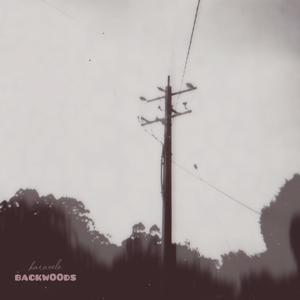 Backw00ds