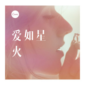 爱情醉醉醉 (DJ版)