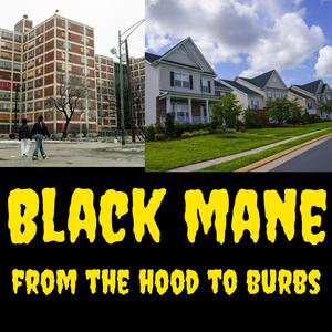 from the hood to the burbs